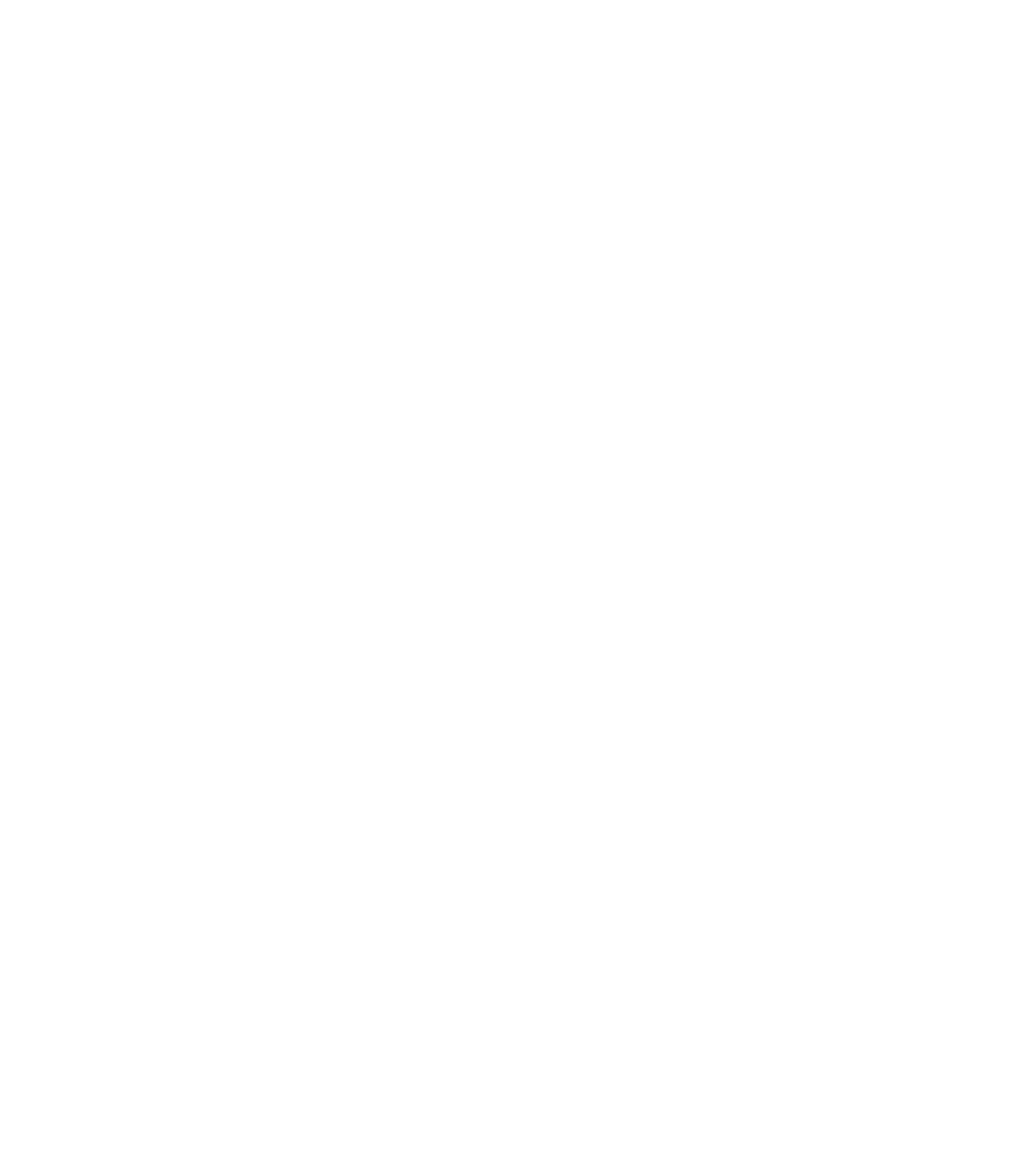 ntStudios Logo